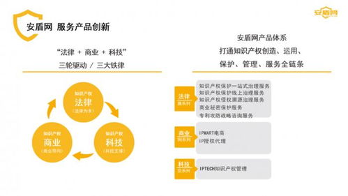 艾勇 法律服务创新需融入经营思维——以安盾网为例看网络信息传播与咨询服务新范式